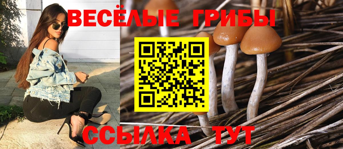Галлюциногенные грибы Magic Shrooms Городец