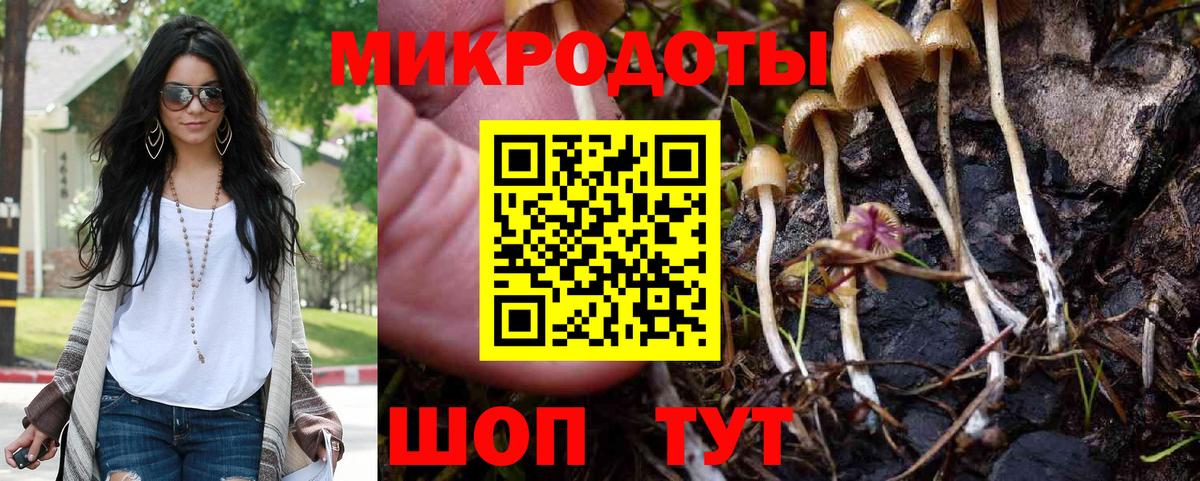 Псилоцибиновые грибы GOLDEN TEACHER  Вход с VPN  Галлюциногенные грибы Psilocybine cubensis  Городец 